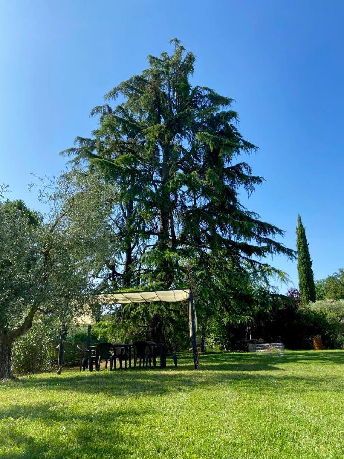 B&B Controvento Soiano Сойано-дель-Лаго Экстерьер фото